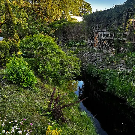 Silja * Παρνού